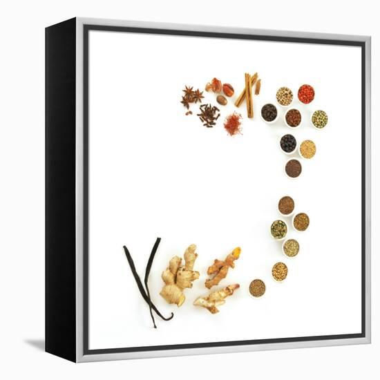 Assortment of Spices-David Munns-Framed Premier Image Canvas