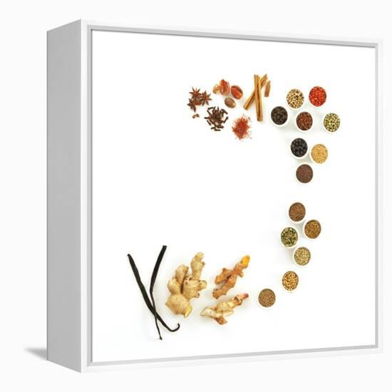 Assortment of Spices-David Munns-Framed Premier Image Canvas