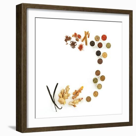 Assortment of Spices-David Munns-Framed Premium Photographic Print