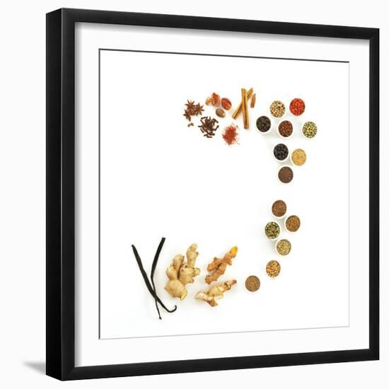 Assortment of Spices-David Munns-Framed Premium Photographic Print