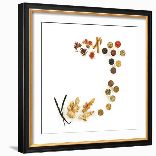 Assortment of Spices-David Munns-Framed Premium Photographic Print