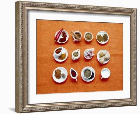 Assortment of Spices-Veronique Leplat-Framed Photographic Print