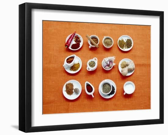 Assortment of Spices-Veronique Leplat-Framed Photographic Print