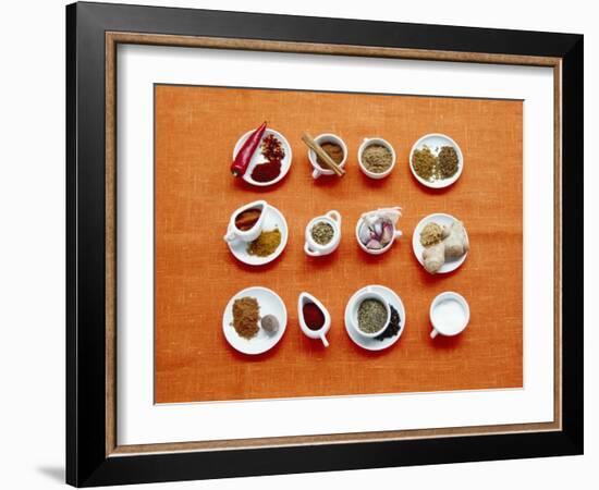 Assortment of Spices-Veronique Leplat-Framed Photographic Print