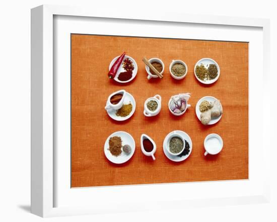 Assortment of Spices-Veronique Leplat-Framed Photographic Print