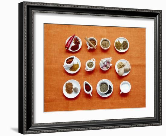 Assortment of Spices-Veronique Leplat-Framed Photographic Print