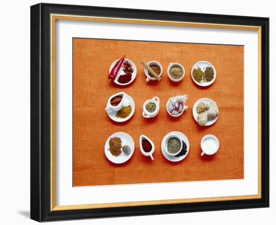 Assortment of Spices-Veronique Leplat-Framed Photographic Print