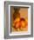 Assortment of Tropical Fruit-Chris Rogers-Framed Photographic Print