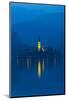 Assumption of Mary Pilgrimage Church, Bled, Slovenia-Juan Carlos Munoz-Mounted Photographic Print