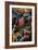 Assumption-Annibale Carracci-Framed Giclee Print