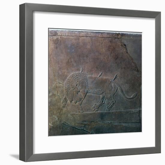 Assyrian relief of a wounded lion from Ashurbanipal, 7th century-Unknown-Framed Giclee Print