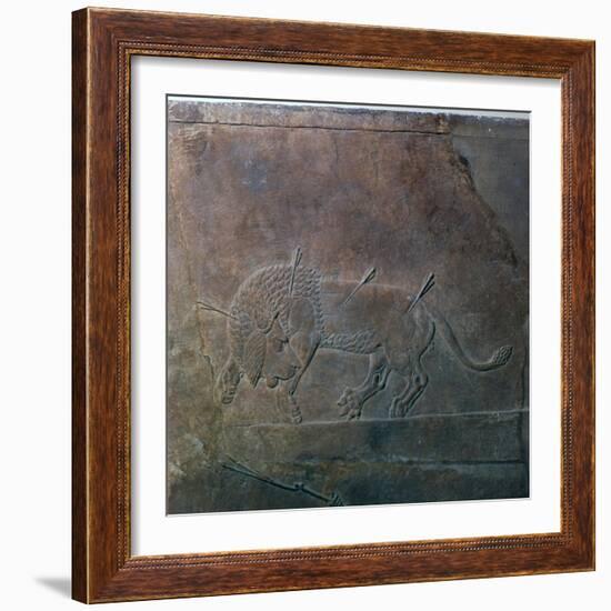 Assyrian relief of a wounded lion from Ashurbanipal, 7th century-Unknown-Framed Giclee Print