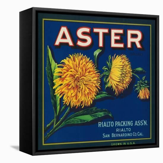 Aster Brand Citrus Crate Label - San Bernardino, CA-Lantern Press-Framed Stretched Canvas