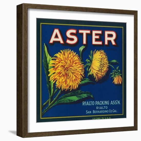 Aster Brand Citrus Crate Label - San Bernardino, CA-Lantern Press-Framed Art Print