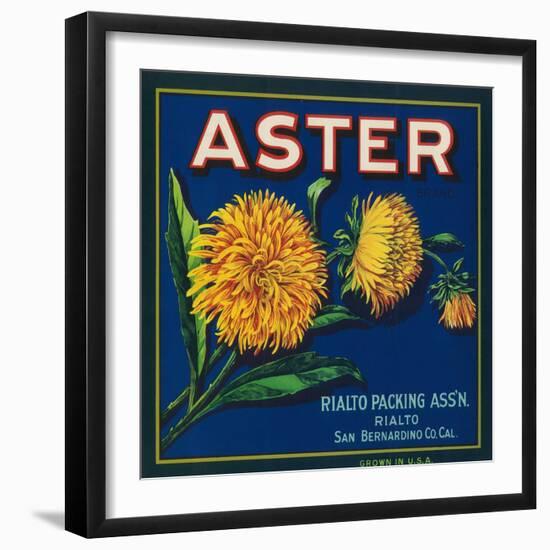 Aster Brand Citrus Crate Label - San Bernardino, CA-Lantern Press-Framed Art Print