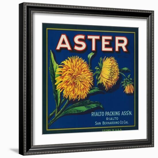 Aster Brand Citrus Crate Label - San Bernardino, CA-Lantern Press-Framed Art Print