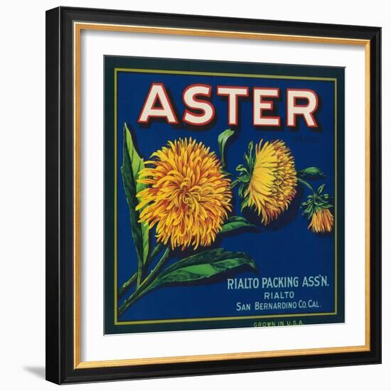 Aster Brand Citrus Crate Label - San Bernardino, CA-Lantern Press-Framed Art Print