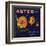 Aster Brand - San Bernardino, California - Citrus Crate Label-Lantern Press-Framed Art Print