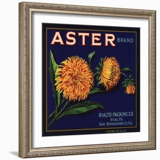 Aster Brand - San Bernardino, California - Citrus Crate Label-Lantern Press-Framed Art Print