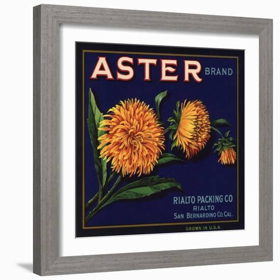 Aster Brand - San Bernardino, California - Citrus Crate Label-Lantern Press-Framed Art Print