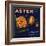 Aster Brand - San Bernardino, California - Citrus Crate Label-Lantern Press-Framed Art Print