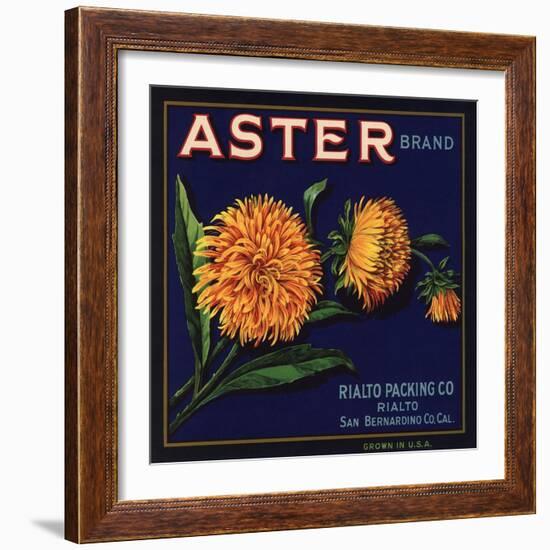 Aster Brand - San Bernardino, California - Citrus Crate Label-Lantern Press-Framed Art Print