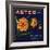 Aster Brand - San Bernardino, California - Citrus Crate Label-Lantern Press-Framed Art Print