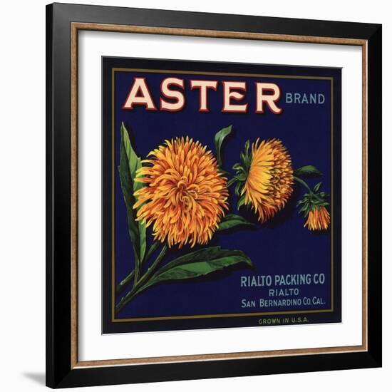 Aster Brand - San Bernardino, California - Citrus Crate Label-Lantern Press-Framed Art Print