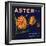 Aster Brand - San Bernardino, California - Citrus Crate Label-Lantern Press-Framed Art Print