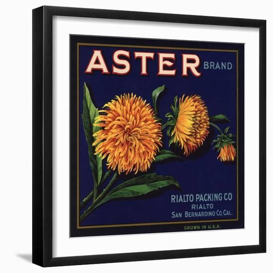 Aster Brand - San Bernardino, California - Citrus Crate Label-Lantern Press-Framed Art Print