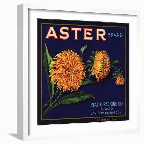 Aster Brand - San Bernardino, California - Citrus Crate Label-Lantern Press-Framed Art Print