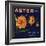 Aster Brand - San Bernardino, California - Citrus Crate Label-Lantern Press-Framed Art Print