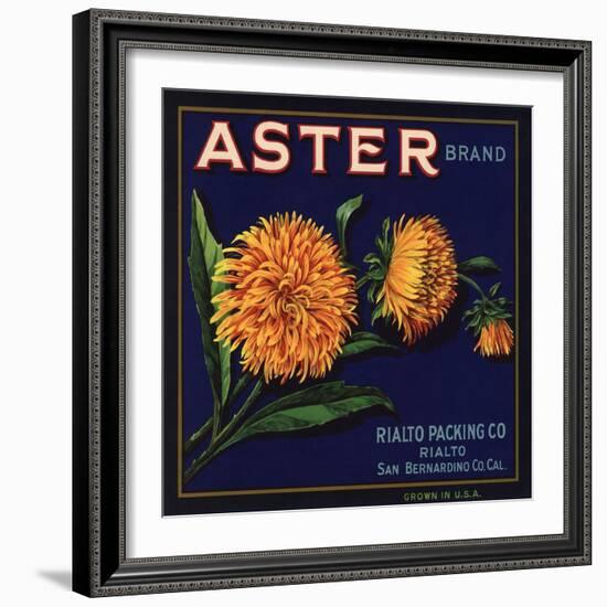 Aster Brand - San Bernardino, California - Citrus Crate Label-Lantern Press-Framed Art Print