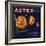 Aster Brand - San Bernardino, California - Citrus Crate Label-Lantern Press-Framed Art Print