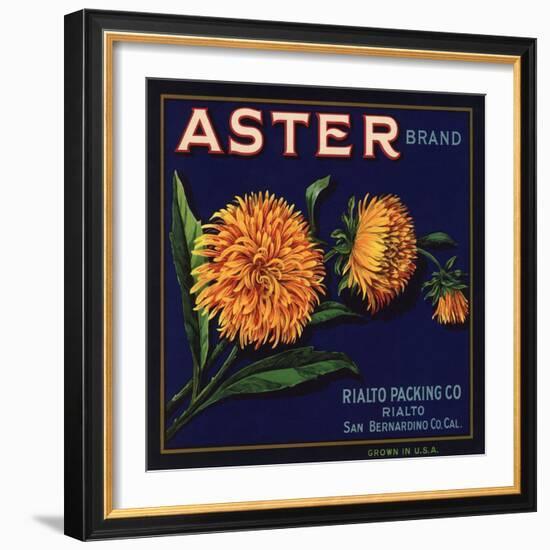 Aster Brand - San Bernardino, California - Citrus Crate Label-Lantern Press-Framed Art Print