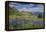 Aster, Lupine, Bistort, Indian Paintbrush, Mt Timpanogos, Utah-Howie Garber-Framed Premier Image Canvas