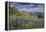 Aster, Lupine, Bistort, Indian Paintbrush, Mt Timpanogos, Utah-Howie Garber-Framed Premier Image Canvas