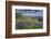 Aster, Lupine, Bistort, Indian Paintbrush, Mt Timpanogos, Utah-Howie Garber-Framed Photographic Print