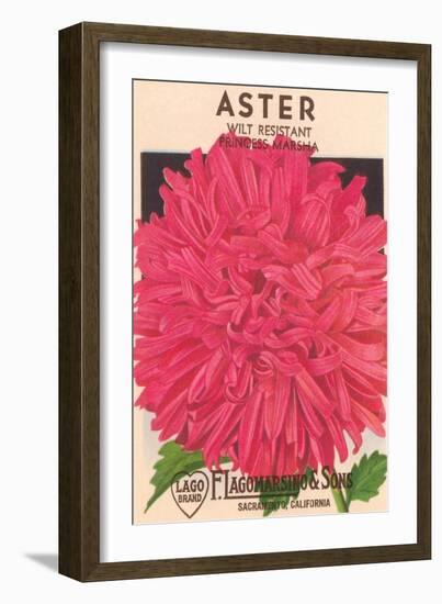 Aster Seed Packet-null-Framed Premium Giclee Print