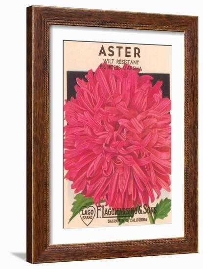 Aster Seed Packet-null-Framed Premium Giclee Print