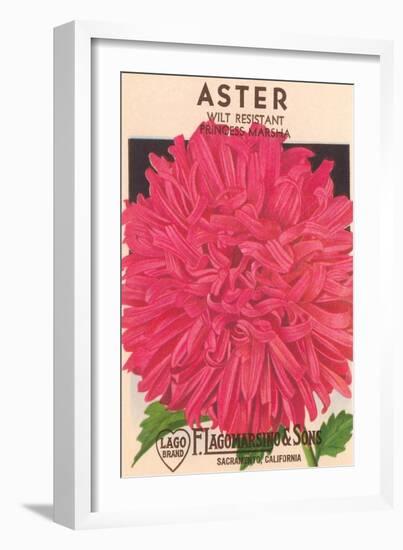 Aster Seed Packet-null-Framed Premium Giclee Print