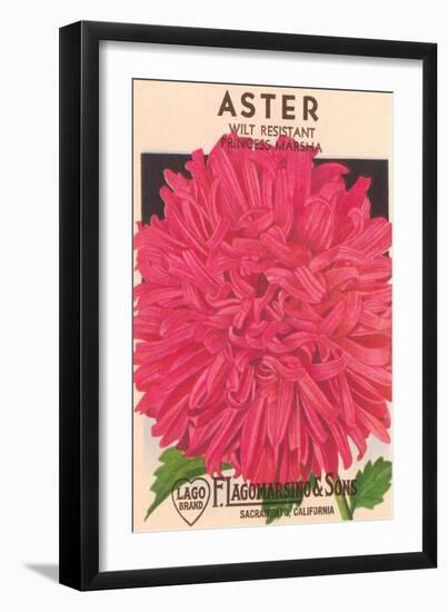 Aster Seed Packet--Framed Art Print