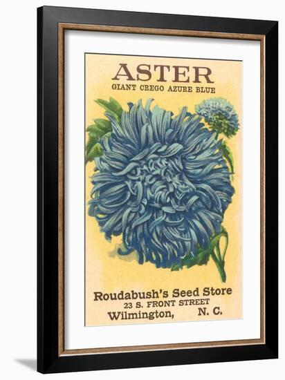 Aster Seed Packet-null-Framed Art Print