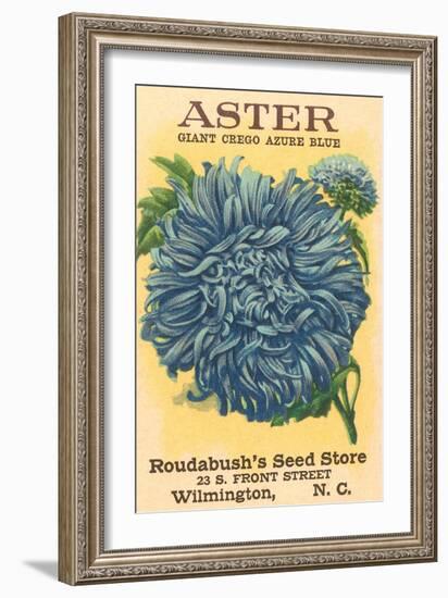 Aster Seed Packet-null-Framed Premium Giclee Print