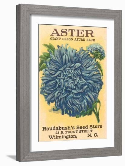 Aster Seed Packet-null-Framed Premium Giclee Print