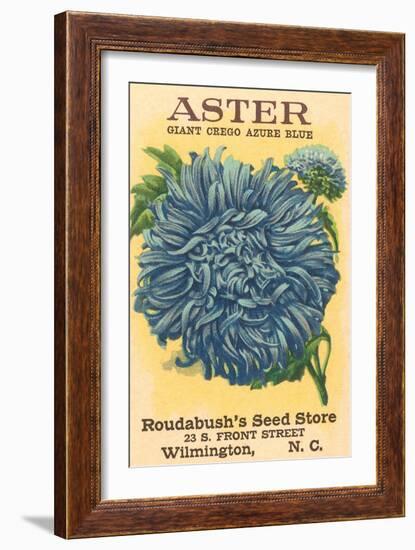 Aster Seed Packet-null-Framed Premium Giclee Print