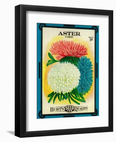 Aster Seed Packet-Lantern Press-Framed Art Print