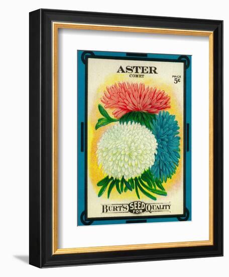 Aster Seed Packet-Lantern Press-Framed Art Print