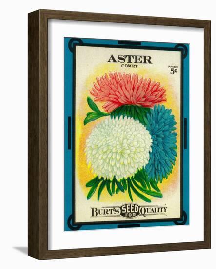 Aster Seed Packet-Lantern Press-Framed Art Print