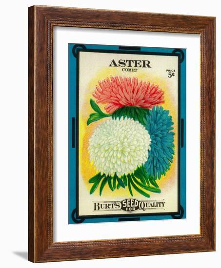 Aster Seed Packet-Lantern Press-Framed Art Print